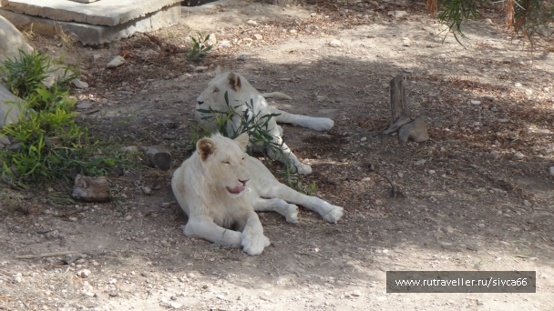 photo 789292