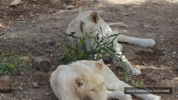 photo 789293