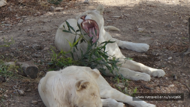 photo 789294