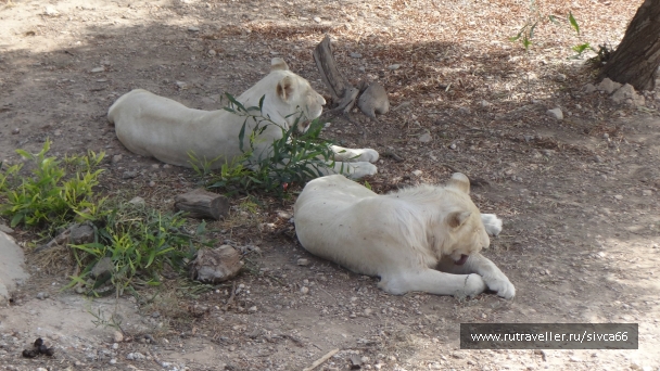photo 789295