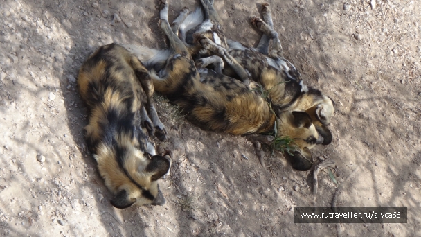 photo 789297