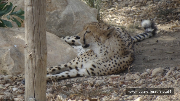 photo 789298