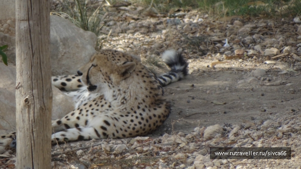 photo 789299