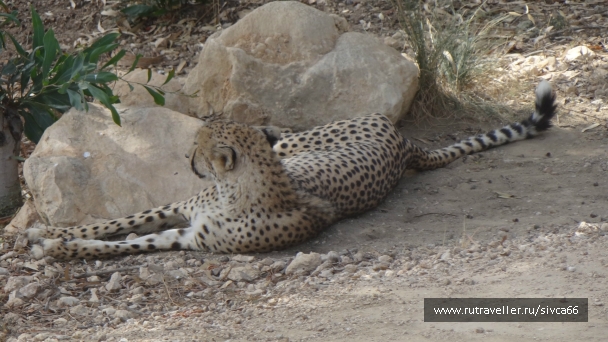 photo 789301