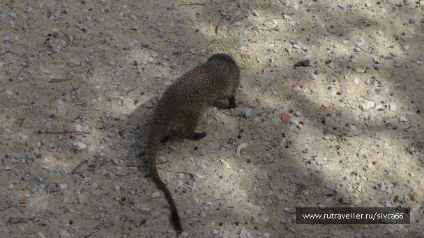 photo 789302