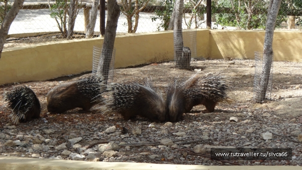 photo 789305