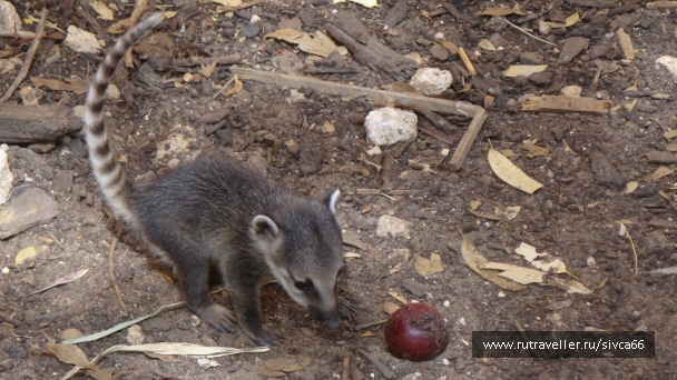 photo 789306