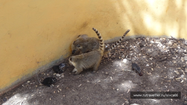 photo 789308