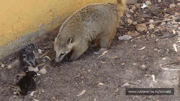 photo 789309
