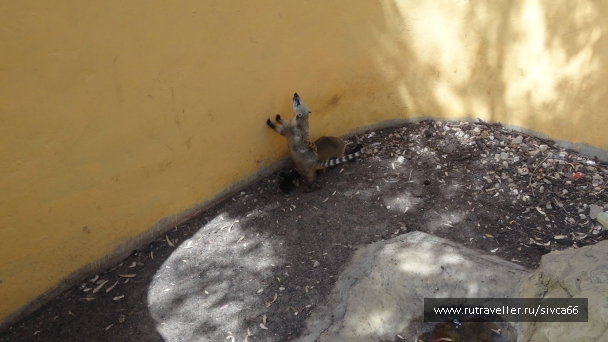 photo 789310