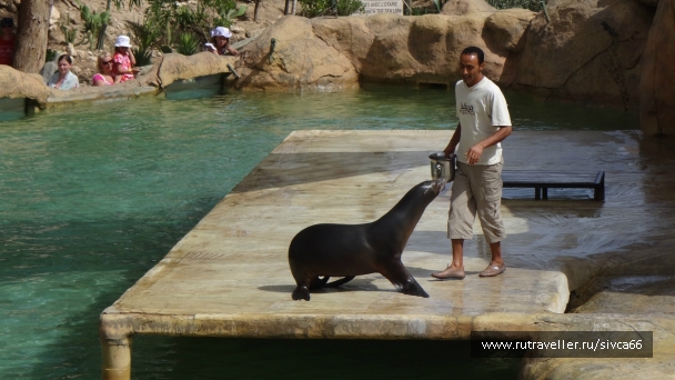 photo 789313
