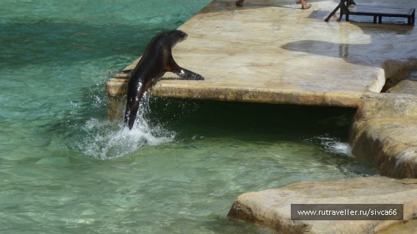 photo 789323