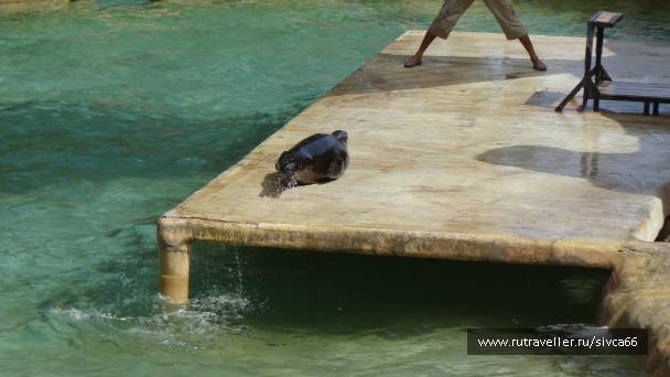photo 789324
