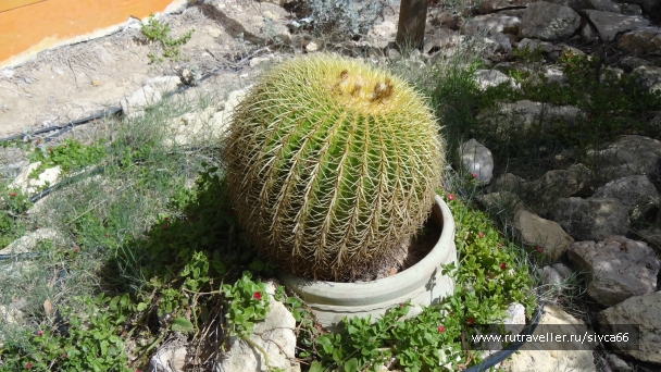 photo 789327