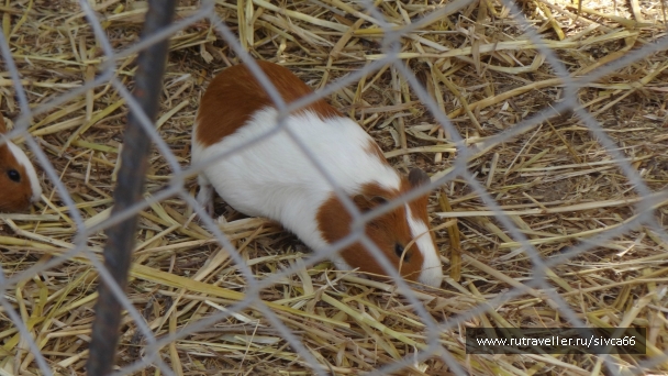 photo 789328