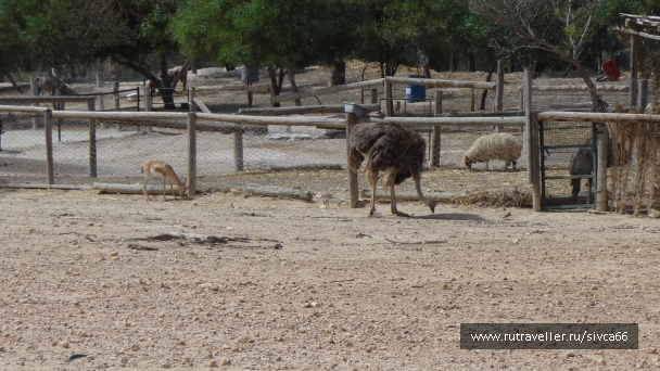 photo 789329