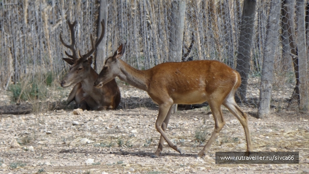 photo 789331