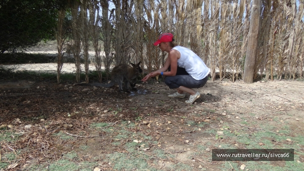 photo 789342