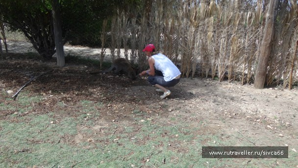 photo 789343