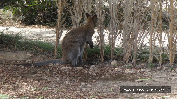 photo 789345