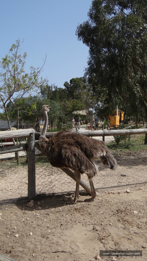 photo 789349