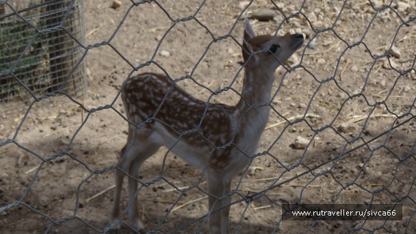 photo 789351