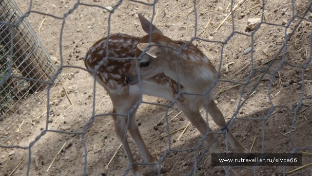 photo 789352