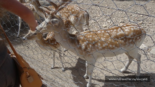 photo 789353