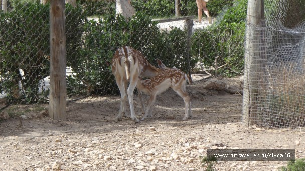 photo 789354