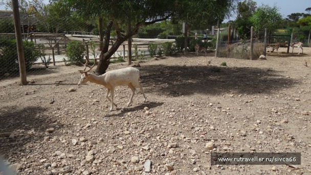photo 789355