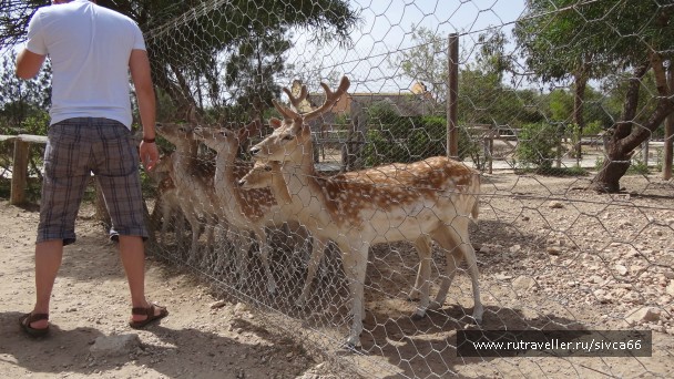 photo 789356