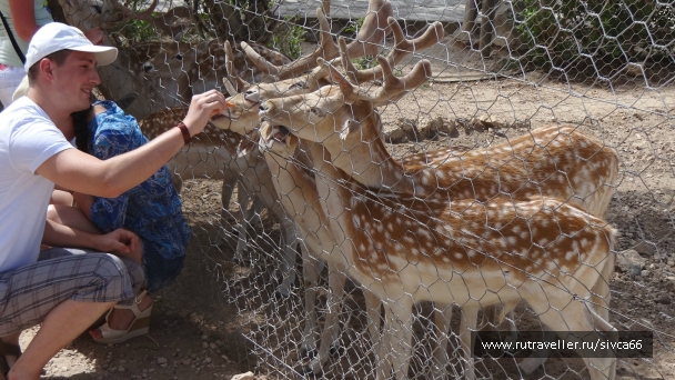 photo 789357