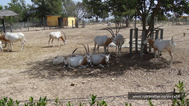photo 789359