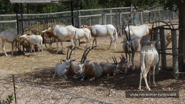 photo 789361