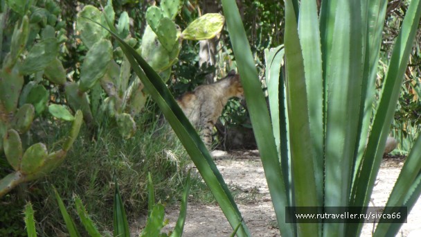 photo 789369