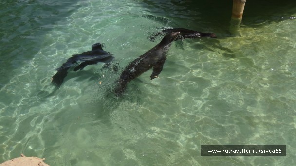photo 789372