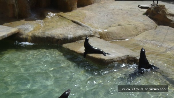 photo 789374
