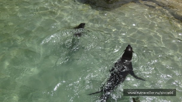 photo 789375