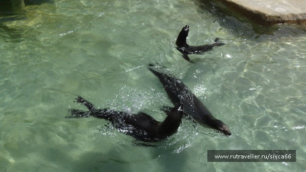 photo 789376