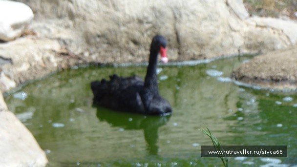 photo 789378