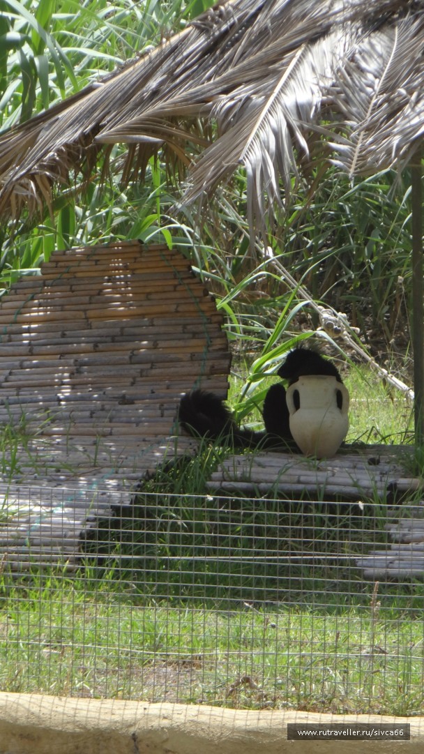 photo 789380