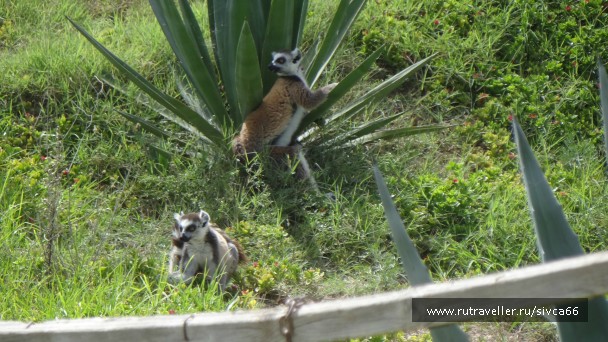 photo 789382