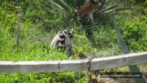 photo 789383
