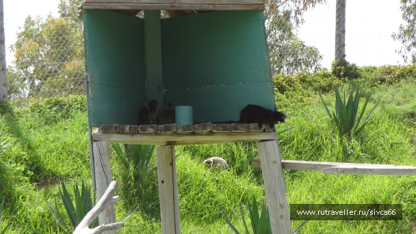 photo 789384