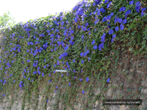 photo 1061655
