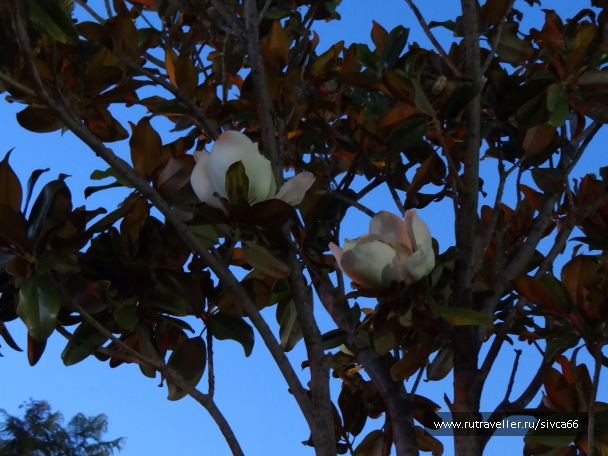 photo 1061840