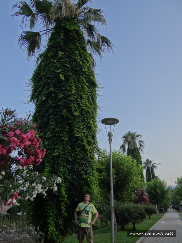 photo 1061889
