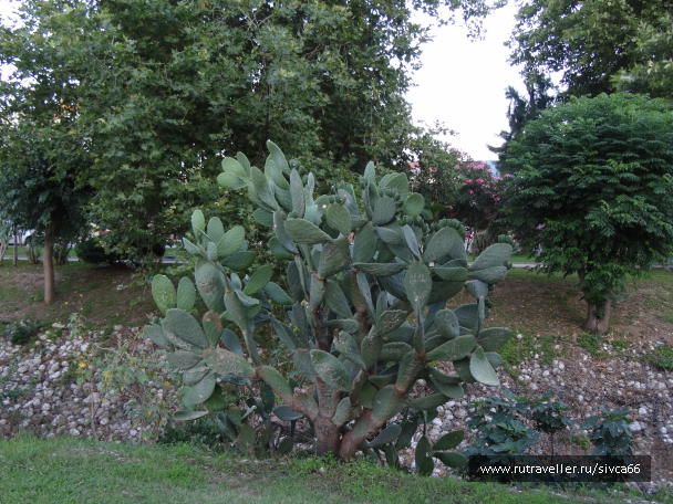 photo 1061892