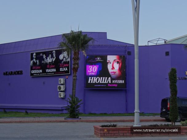 photo 1061898
