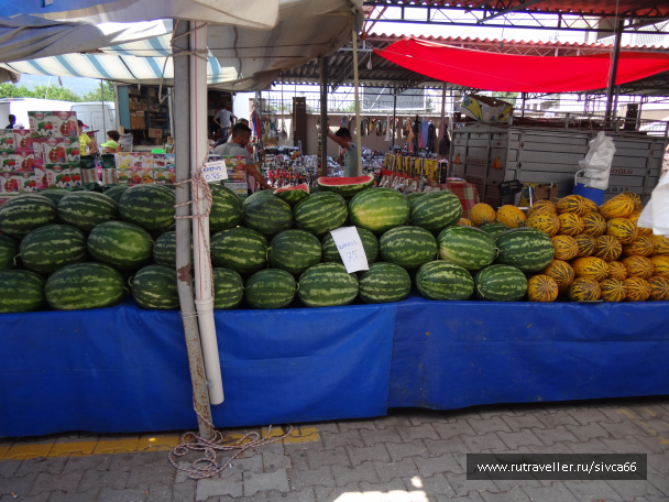 photo 1061904
